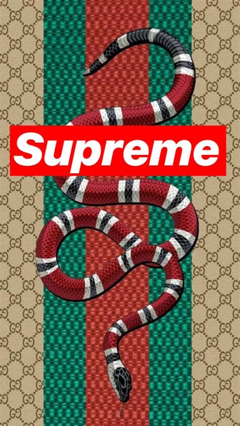 supreme cartoon gucci wallpaper|wallpaper supreme Gucci logo.